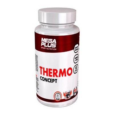 THERMOCONCEPT